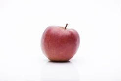 Apfel „Braeburn“ -Blumen Risse Verkaufsladen GS458045 800x800