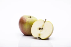 Apfel „Cox Orange“ -Blumen Risse Verkaufsladen GS458052 800x800