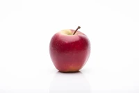 Apfel „Elstar“ 16 Apfel „Elstar“ – Bild 14