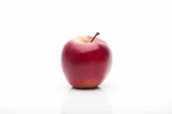 Apfel „Elstar“ 25 Apfel „Elstar“ -Blumen Risse Verkaufsladen GS458057 800x800