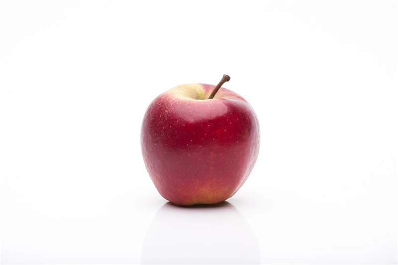 Apfel „Elstar“ 6 Apfel „Elstar“ – Bild 4