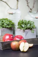 Herbstapfel „Rubinette®“ 9 Herbstapfel „Rubinette®“ – Bild 7