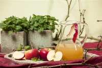 Winterapfel „Topaz(s)“ 14 Winterapfel „Topaz(s)“ – Bild 12