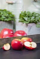 Winterapfel „Topaz(s)“ 13 Winterapfel „Topaz(s)“ – Bild 11