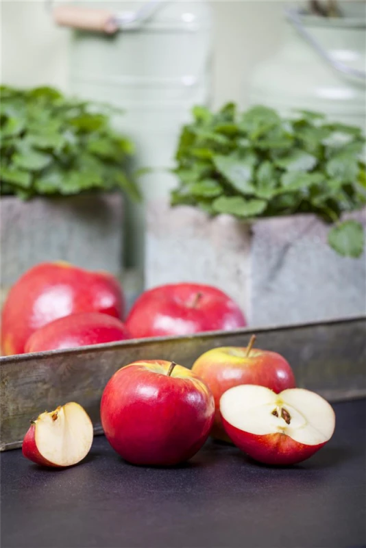 Winterapfel „Topaz(s)“ 3 Winterapfel „Topaz(s)“