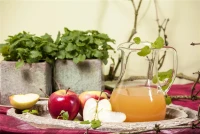 Apfel „Elstar“ 18 Apfel „Elstar“ – Bild 16