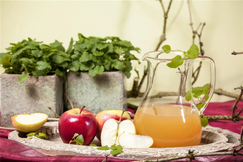 Apfel „Elstar“ 8 Apfel „Elstar“ – Bild 6