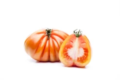 QUEDLINBURGER Tomatensamen -Blumen Risse Verkaufsladen GS458457 800x800