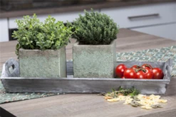 Echter Thymian -Blumen Risse Verkaufsladen GS468644 800x800