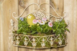 Tausendschön -Blumen Risse Verkaufsladen GS470779 800x800