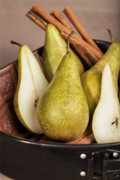 Birne „Conference“ 26 Birne „Conference“ -Blumen Risse Verkaufsladen GS471936 800x800