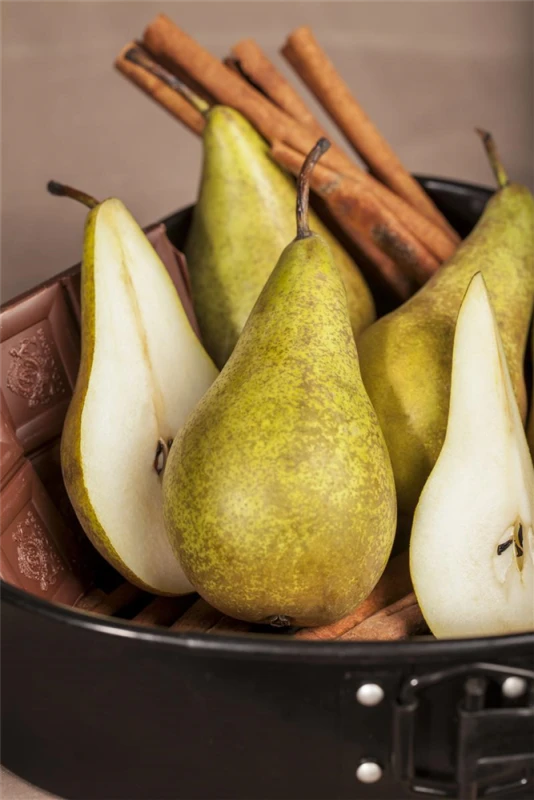 Birne „Conference“ 7 Birne „Conference“ – Bild 5