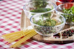 Echter Thymian -Blumen Risse Verkaufsladen GS474950 800x800