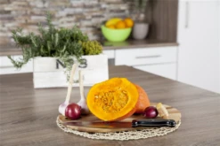 KIEPENKERL Kürbissamen „Hokkaido“ 32 KIEPENKERL Kürbissamen „Hokkaido“ -Blumen Risse Verkaufsladen GS509243 800x800