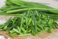 Schnittlauch -Blumen Risse Verkaufsladen GS512310 800x800