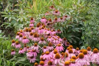 Garten-Scheinsonnenhut „Mistral“ 8 Garten-Scheinsonnenhut „Mistral“ – Bild 6