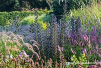 Bärentatze „Morning Candle“ 10 Bärentatze „Morning Candle“ – Bild 8