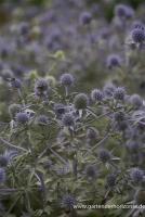 Dreiteilige Mannstreu 5 Dreiteilige Mannstreu – Bild 3